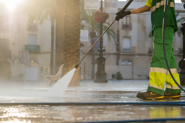 Best Patio and Deck Pressure Washing  in Keokea, HI